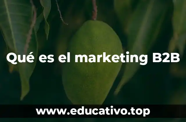Qué es el marketing B2B