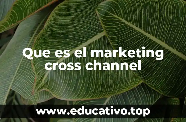 Que es el marketing cross channel