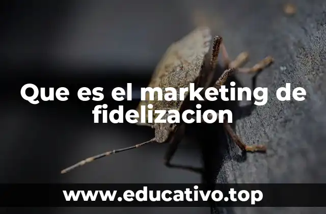 Que es el marketing de fidelizacion