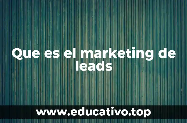 Que es el marketing de leads