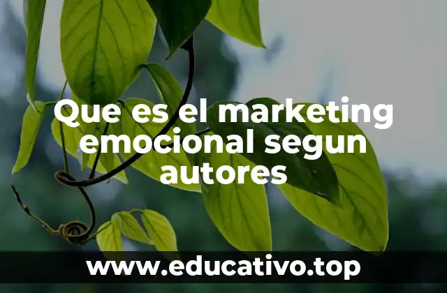 Que es el marketing emocional segun autores