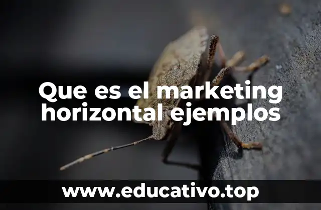 Que es el marketing horizontal ejemplos