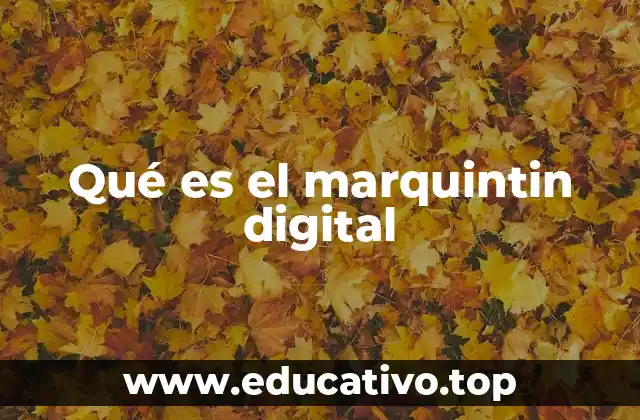 Qué es el marquintin digital