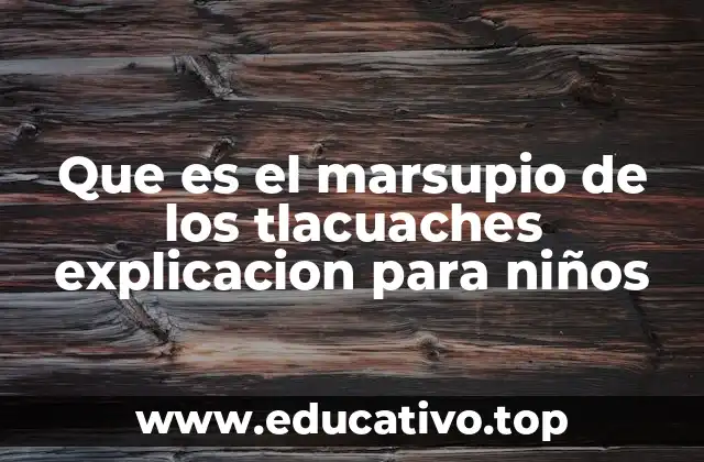 Que es el marsupio de los tlacuaches explicacion para niños