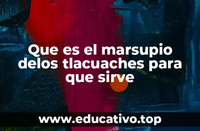 Que es el marsupio delos tlacuaches para que sirve