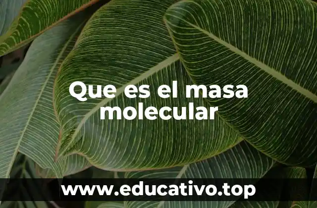 Que es el masa molecular