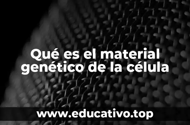 Qué es el material genético de la célula
