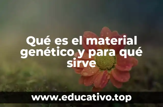 Qué es el material genético y para qué sirve