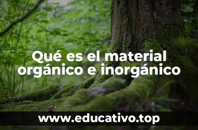 Qué es el material orgánico e inorgánico