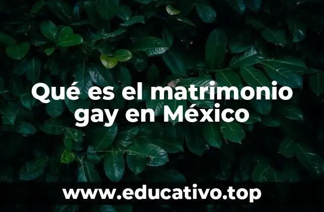 Qué es el matrimonio gay en México
