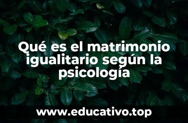 Qué es el matrimonio igualitario según la psicología