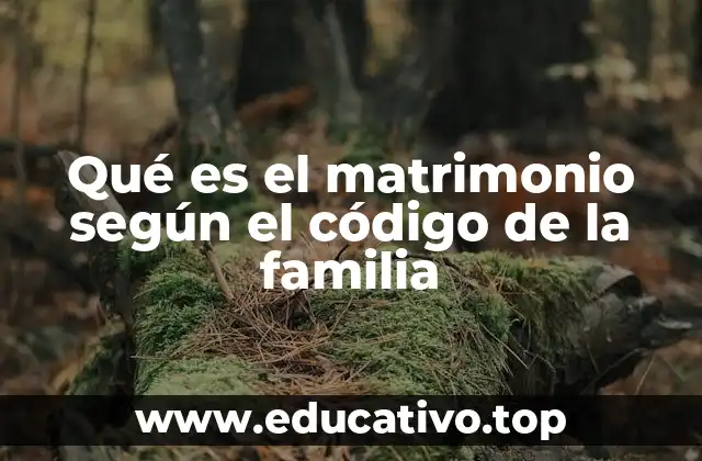 Qué es el matrimonio según el código de la familia