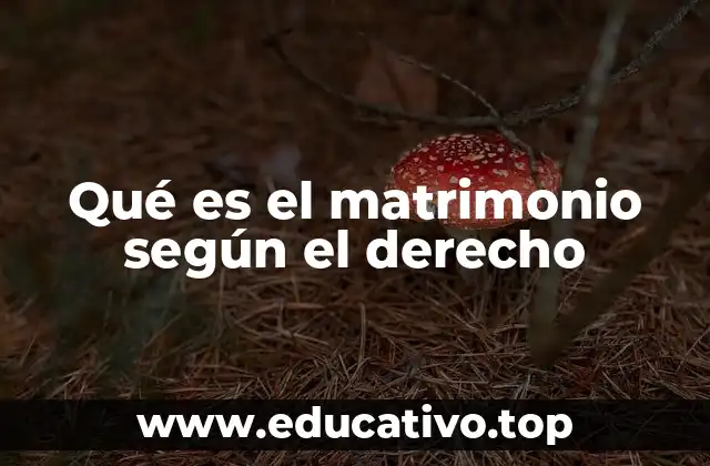 Qué es el matrimonio según el derecho