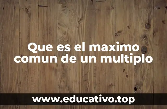 Que es el maximo comun de un multiplo