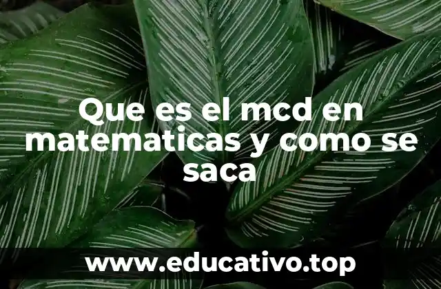 Que es el mcd en matematicas y como se saca