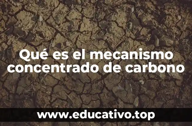 Aplicaciones del carbono en sistemas tecnológicos avanzados