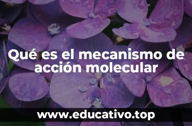 Qué es el mecanismo de acción molecular