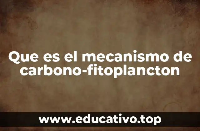 Que es el mecanismo de carbono-fitoplancton