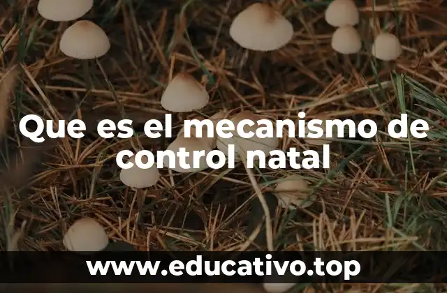 Que es el mecanismo de control natal