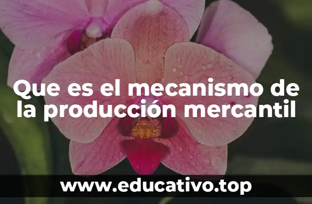 Que es el mecanismo de la producción mercantil
