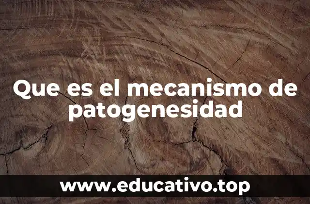 Que es el mecanismo de patogenesidad