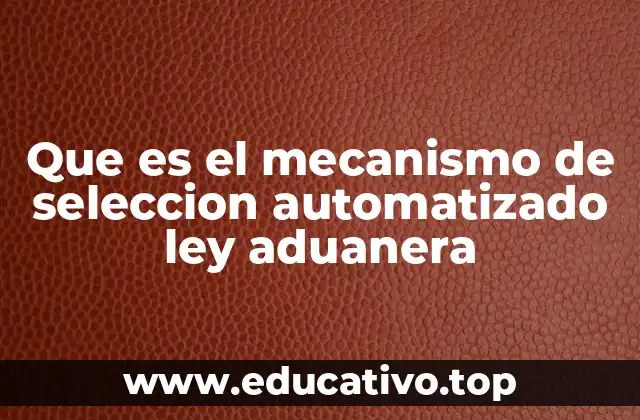 Que es el mecanismo de seleccion automatizado ley aduanera