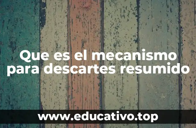 Que es el mecanismo para descartes resumido