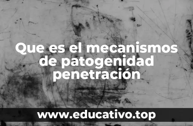 Que es el mecanismos de patogenidad penetración