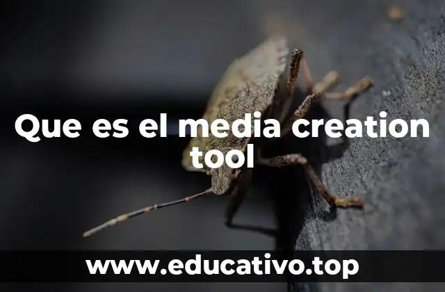 Cómo funciona la herramienta de Microsoft para crear medios de instalación