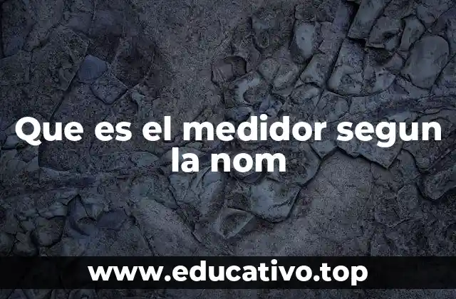 Que es el medidor segun la nom