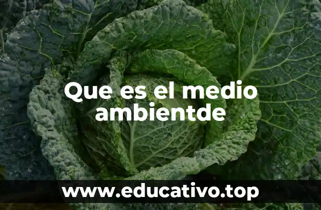 Que es el medio ambientde