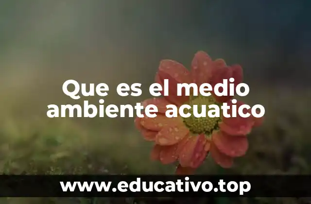 Que es el medio ambiente acuatico