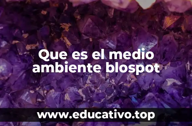 Que es el medio ambiente blospot