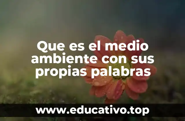 Que es el medio ambiente con sus propias palabras