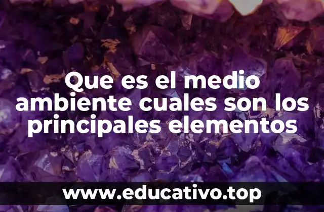 Que es el medio ambiente cuales son los principales elementos