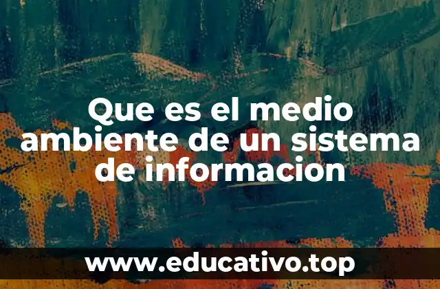 Que es el medio ambiente de un sistema de informacion
