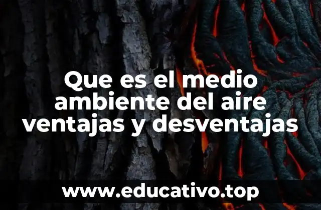 Que es el medio ambiente del aire ventajas y desventajas