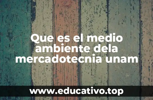 Que es el medio ambiente dela mercadotecnia unam