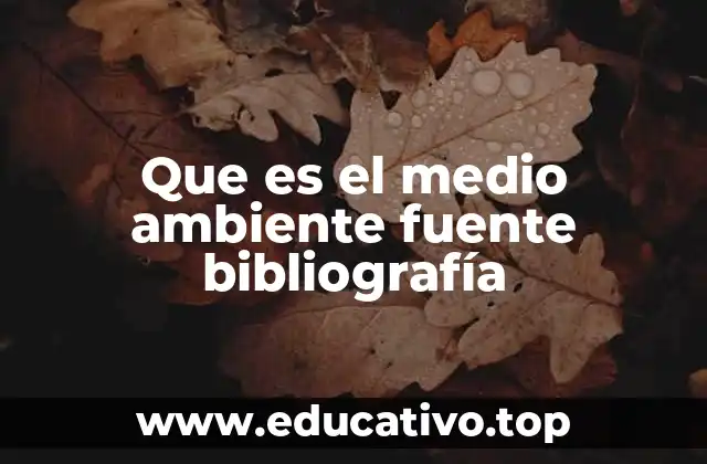 Que es el medio ambiente fuente bibliografía