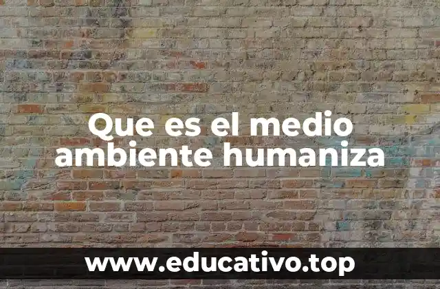 Que es el medio ambiente humaniza