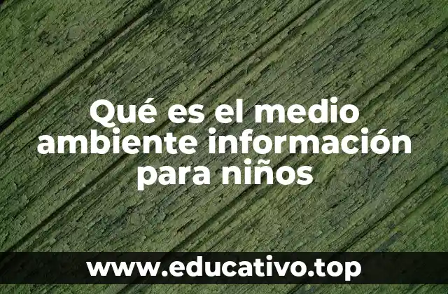 Qué es el medio ambiente información para niños
