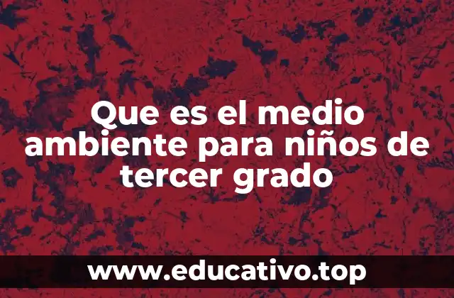Que es el medio ambiente para niños de tercer grado