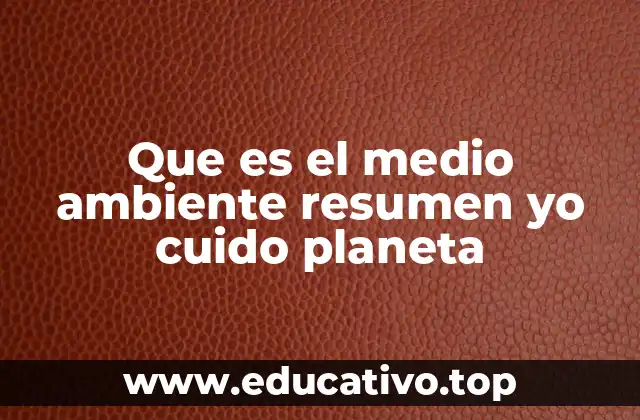 Que es el medio ambiente resumen yo cuido planeta