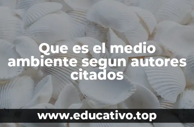 Que es el medio ambiente segun autores citados