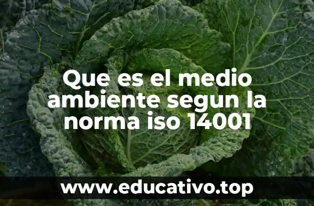 Que es el medio ambiente segun la norma iso 14001