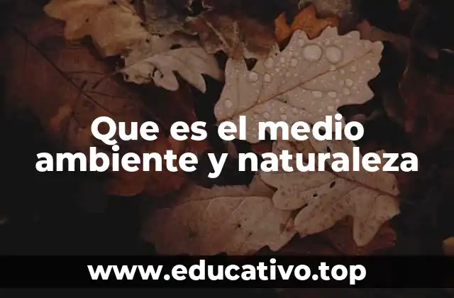 Que es el medio ambiente y naturaleza