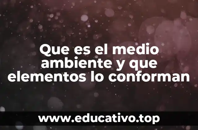 Los componentes que forman el entorno natural