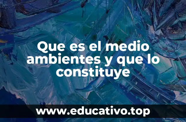 Que es el medio ambientes y que lo constituye