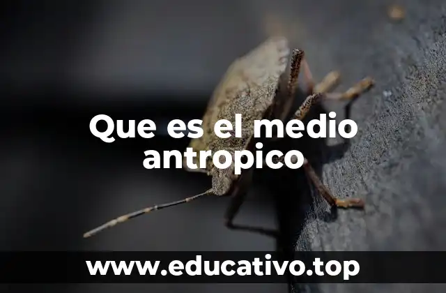Que es el medio antropico