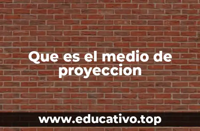 Que es el medio de proyeccion
